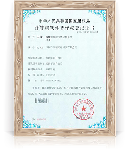 內窺鏡氣體分析系統